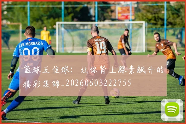 篮球五佳球：让你肾上腺素飙升的精彩集锦_20260603222755
