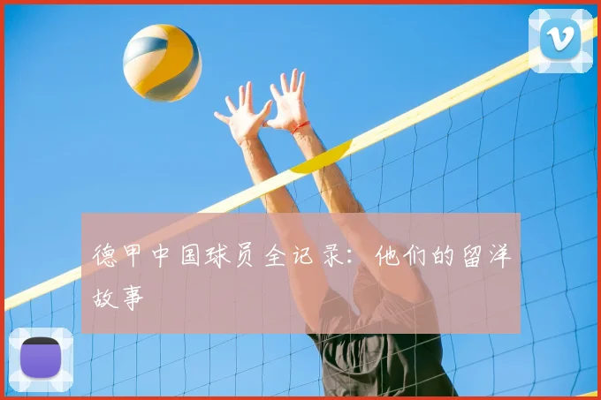 德甲中国球员全记录：他们的留洋故事
