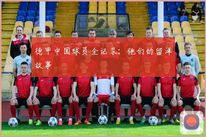 德甲中国球员全记录：他们的留洋故事