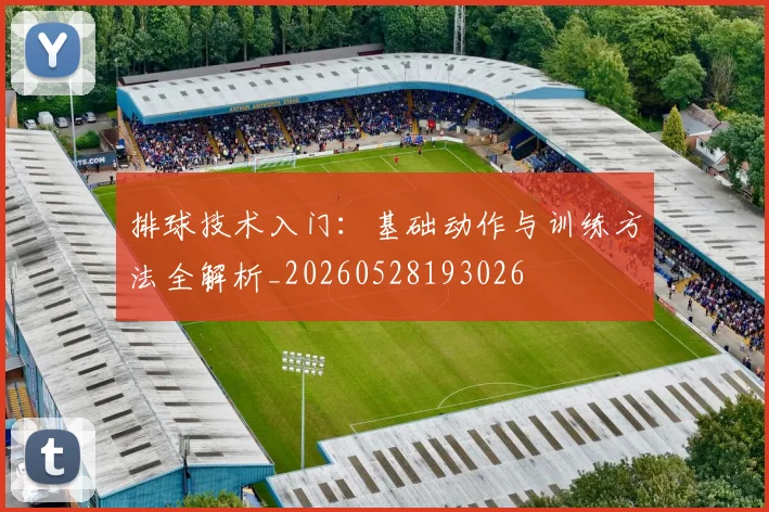 排球技术入门:基础动作与训练方法全解析_20260528193026